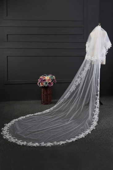 BMbridal Glamourous Tulle lace Applique Edge Wedding Veil_5