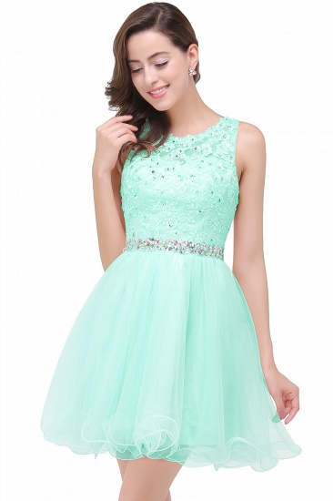 BMbridal A-line Knee-length Tulle Prom Dress with Appliques_6