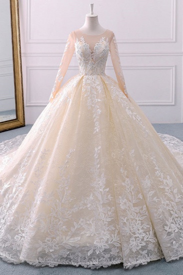BMbridal Gorgeous Jewel Champagne Tulle Lace Wedding Dress Long Sleeves Appliques Bridal Gowns Online_1