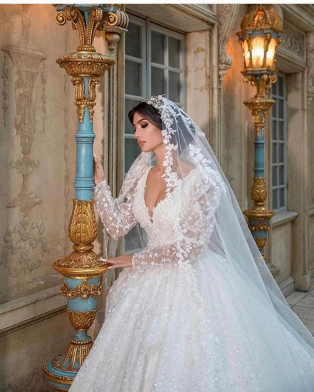 Bmbridal Long Sleeves Ball Gown Wedding Dress Appliques V-Neck Bridal Gown_5