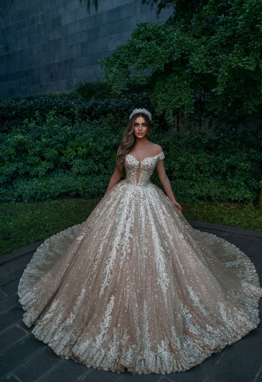 BMbridal Off-the-Shoulder Champagne Wedding Dress Ball Gown With Appliques_3