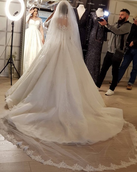 Bmbridal Long Sleeves Lace Plus Size Wedding Dress On Sale_3