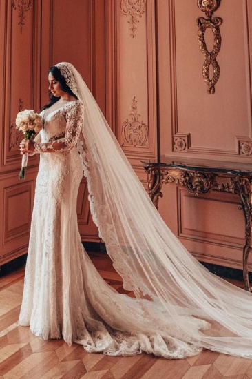 Bmbridal V-Neck Long Sleeves Mermaid Wedding Dress Lace Online_5